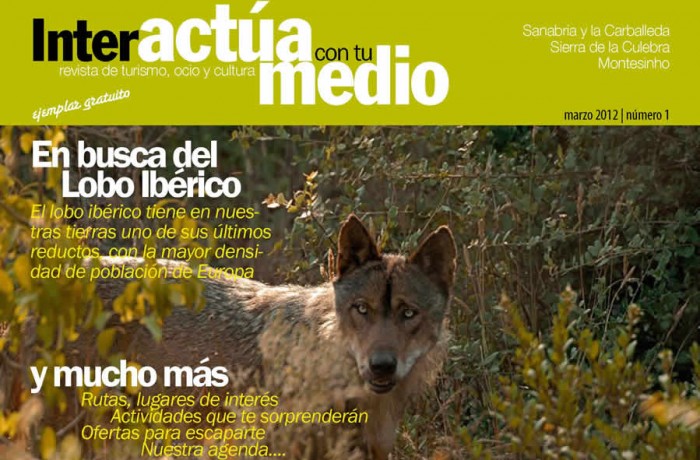 Diseño editorial – Revistas II